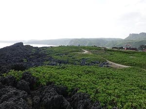 DSC05415_R