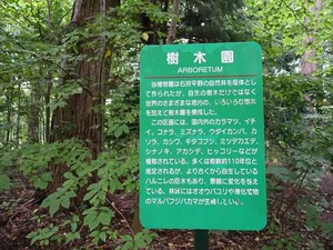 DSC09325_R