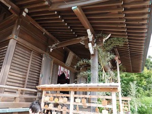 DSC08027_R