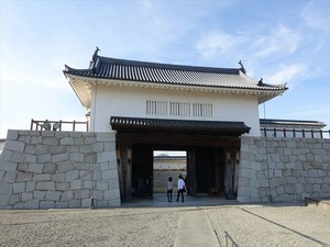 DSC08549_R