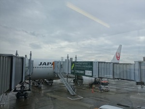 DSC08127_R