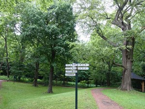 DSC09317_R