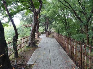 DSC08594_R