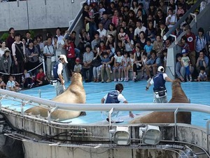 DSC05738_R