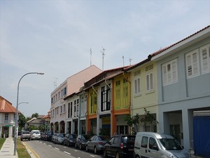 DSC08253_R