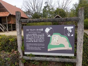 DSC04394_R