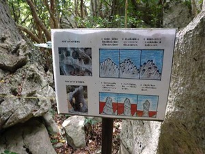 DSC05471_R