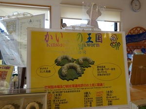 DSC08437_R