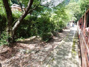 DSC06260_R