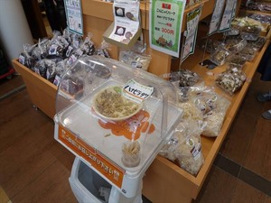 DSC08555_R