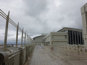 DSC08090_R