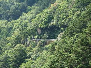 DSC06457_R