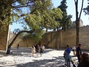 DSC07492_R