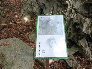 DSC05473_R