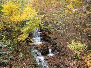DSC00286_R