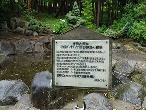 DSC06805_R