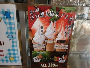 DSC03225_R