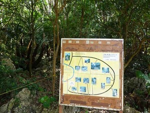 DSC05449_R