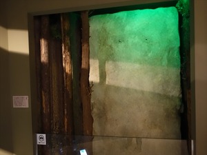 DSC07581_R