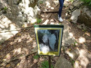 DSC05466_R