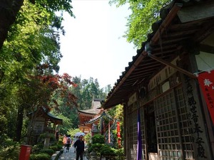 DSC03125_R