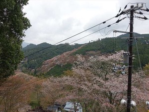 DSC08959_R