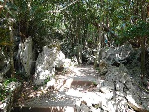 DSC05462_R