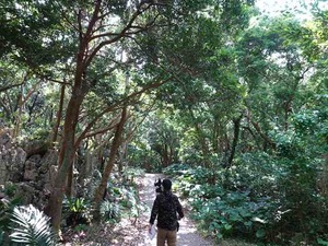 DSC05452_R