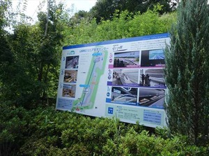 DSC02737_R