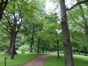 DSC09314_R