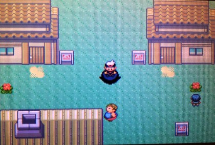 ポケモンルビー サファイアの雨降って草生えまくってる道wwwww ゲーハー黙示録 ポケモンルビー サファイアの雨降って草生えまくってる道wwwww ゲーハー黙示録