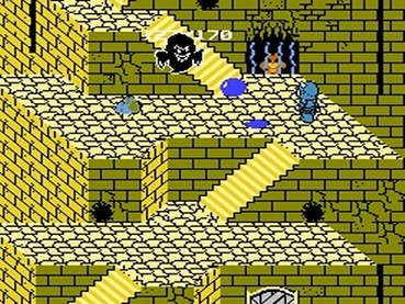80