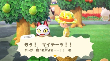 33