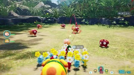 64
