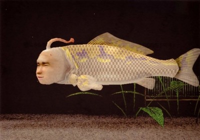 50