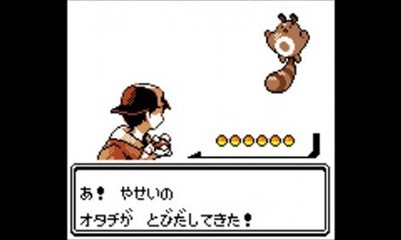 255