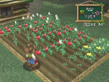 36