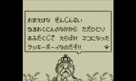 113