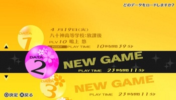 セーブデータはひとつのみ 理解できない ゲーハー黙示録