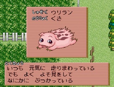 685