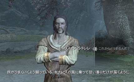 スカイリムで一番印象に残ってるセリフwwwww ゲーハー黙示録 スカイリムで一番印象に残ってるセリフwwwww ゲーハー黙示録