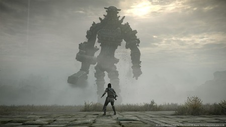 79