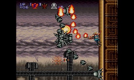 81