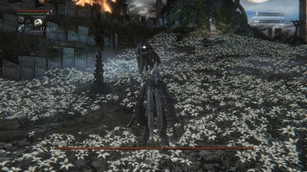 75