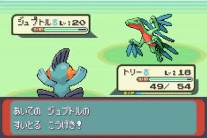 80