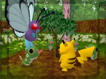 55
