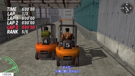 41