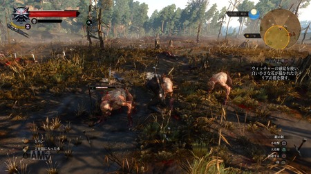 ウィッチャー3 とかいう戦闘以外完璧なゲームwwwww ゲーハー黙示録 ウィッチャー3 とかいう戦闘以外完璧なゲームwwwww ゲーハー黙示録