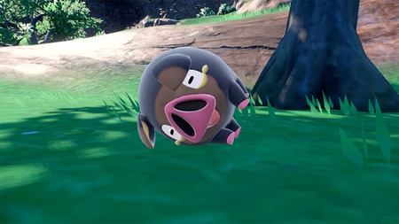 31