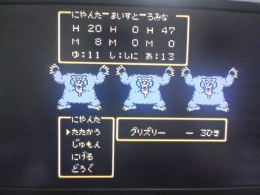 41